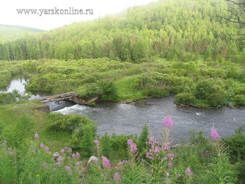 Старая плотина Старая плотина