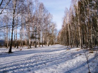 Продам 2ком в элитном р-не города, Академгородок