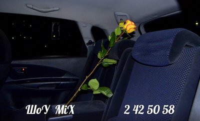 Предложение руки и сердца!