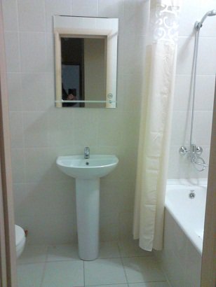 Продам 1-комн. Карамзина (Белые Росы, 12 стр) 12/24мк, 43,5кв.м, дом на сдаче, микрорайон Пашенный, рядом Ярыгинская набережная, остров Отдыха, центр города. Цена 2550т.р.