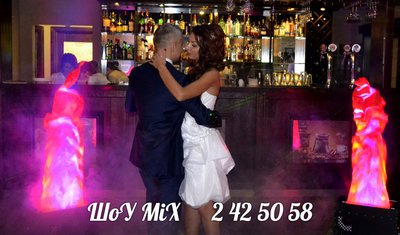 Агентство праздничных услуг ШоУ MiX