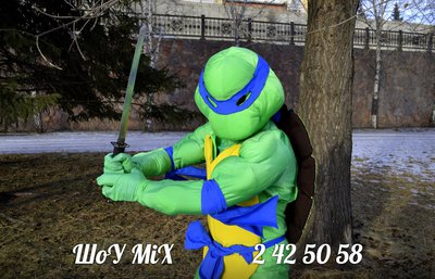 Детские праздники . Аниматоры.