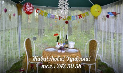 Романтическая прогулка на лошадях!