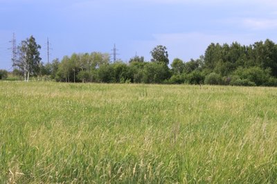 Финальная распродажа участков 5 км от города