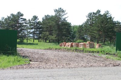 Продам участок с соснами