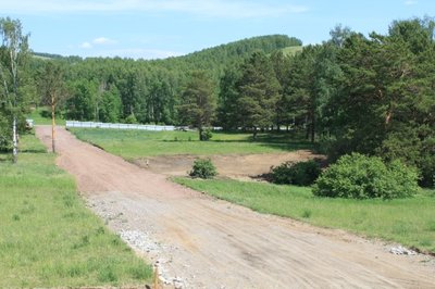 Продам участок с соснами