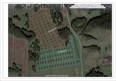 Продам участок с соснами