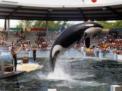 Экскурсии, туры, трансферы, гиды, путешествия Майами, США