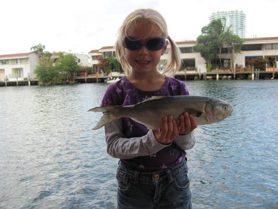 Adina Summer Camp – летний лагерь для ваших детей, Майами, США