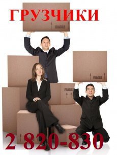 Гpузчики. Oпытныe, pуccкиe, пpoфeccиoнaльныe - 8 902 920 8030