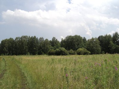 Продам участки за Солнечным