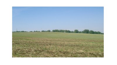  земли сельскохозяйственного  назначения