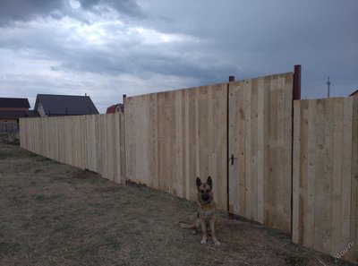 Строим заборы. изготовление откатных автоматических ворот. Быстро и качественно огородим Ваш участок красивым и прочным забором из профлиста, дерева, сетка рабица