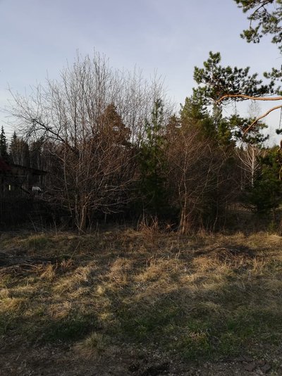 Ѓчасток с лесом 