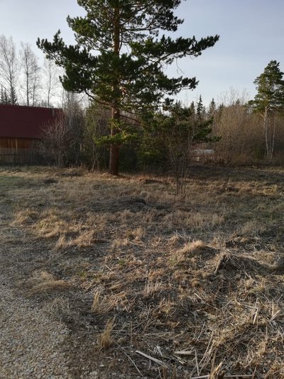 Ѓчасток с лесом 