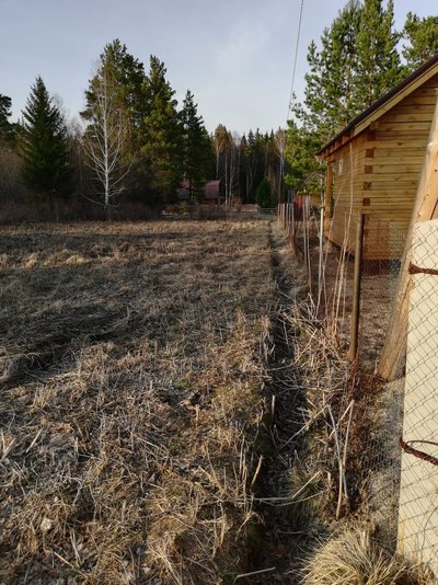 Ѓчасток с лесом 