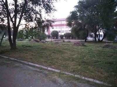 Поможем Скосить,убрать, вывезти с вашего участка, дачи, поля траву, мусор, скосим, выкосим, траву в вашем саду и вокруг