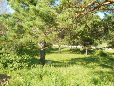 Продам участок под строительство загородного дома