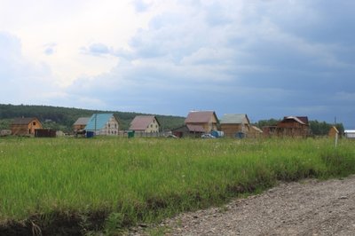 Распродажа ДНТ Ясное