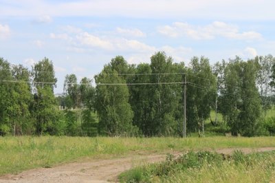 Распродажа ДНТ Ясное