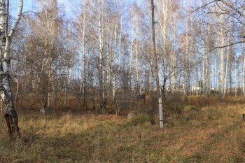 Продам участок в березовой роще