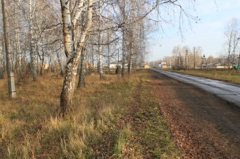 Продам участок в березовой роще