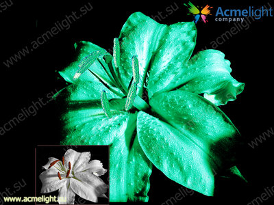 Идеи для бизнеса  