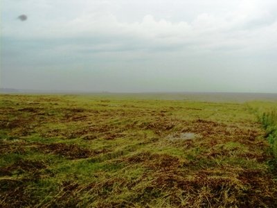 Продам земельный участок 