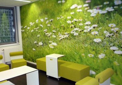 Печать на обоях  в Красноярске