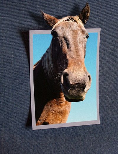 Печать плакатов и чертежей в Красноярске