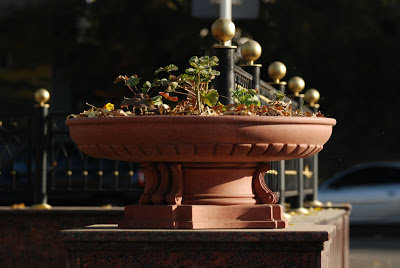 Фонтаны, скамьи, вазоны, карнизы, ступени и т.п.