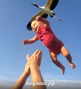 Организация встречи мамы и ребенка из роддома