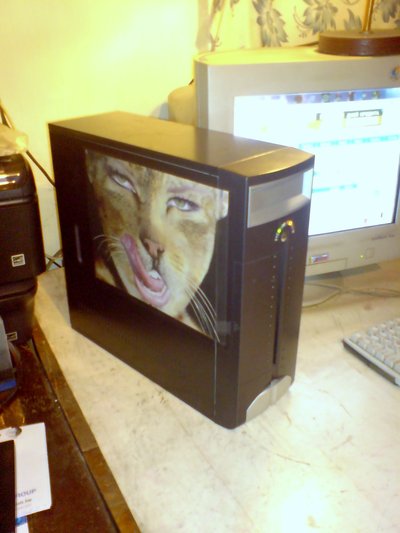 2х ядерный современный системник женщина-кошка. socket 1155.