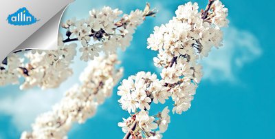 Фотопечать на обоях в Красноярске.