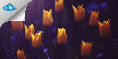 Фотопечать на обоях в Красноярске.