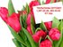 Ђюльпаны оптом