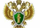 Красноярские чиновники попались на некачественной "приемке"