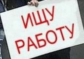Безработица в крае начала расти