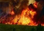 В Красноярском крае снова горят леса
