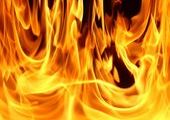Один день без идиотских политических лозунгов и призывов