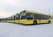 Красноярским садоводам добавят автобусов
