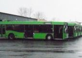 Автобусы до Шинного кладбища запустят на неделю раньше срока