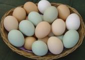 Цены на яйца к Пасхе выросли на 6,5 процентов