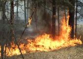 В Хакасии полыхают лесные пожары