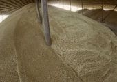 Иланскому фермеру грозит 5 лет тюрьмы за хранение зерна без лицензии