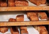 Более половины хлеба в Красноярском крае производят нелегально