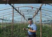 В Березовском районе найдены семена неизвестного происхождения