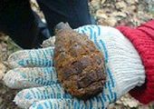 Ачинский фермер нашел гранату