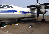 Женщину порубило винтом самолета в Красноярске
