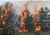 В большинстве территорий Красноярского края дым от лесных пожаров рассеялся